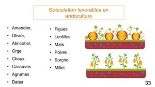 Spéculation favorables en
aridoculture
• Amandier,
• Olivier,
• Abricotier,
• Orge
• Choux
• Cassaves
• Agrumes
• Dates
• Figues
• Lentilles
• Maïs
• Poivre
• Sorgho
• Millet
33
 