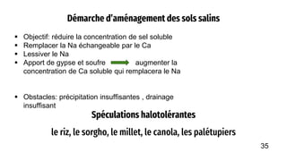 Démarche d’aménagement des sols salins
 Objectif: réduire la concentration de sel soluble
 Remplacer la Na échangeable par le Ca
 Lessiver le Na
 Apport de gypse et soufre augmenter la
concentration de Ca soluble qui remplacera le Na
 Obstacles: précipitation insuffisantes , drainage
insuffisant
Spéculations halotolérantes
le riz, le sorgho, le millet, le canola, les palétupiers
35
 