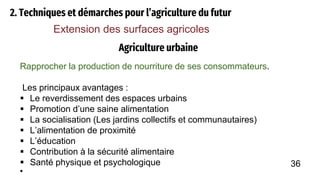 Agriculture urbaine
2. Techniques et démarches pour l’agriculture du futur
Extension des surfaces agricoles
Rapprocher la production de nourriture de ses consommateurs.
Les principaux avantages :
 Le reverdissement des espaces urbains
 Promotion d’une saine alimentation
 La socialisation (Les jardins collectifs et communautaires)
 L’alimentation de proximité
 L’éducation
 Contribution à la sécurité alimentaire
 Santé physique et psychologique

36
 