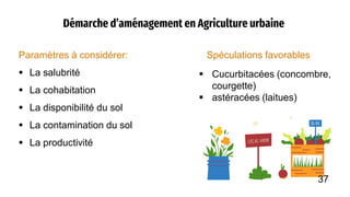 Démarche d’aménagement en Agriculture urbaine
Paramètres à considérer:
 La salubrité
 La cohabitation
 La disponibilité du sol
 La contamination du sol
 La productivité
Spéculations favorables
 Cucurbitacées (concombre,
courgette)
 astéracées (laitues)
37
 