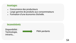 ● Concurrence des producteurs
● Large gamme de produits aux consommateurs
● Formation d’une économie d’échelle.
Avantages
Inconvénients
Disponibilité :
Technologie,
intrants,…
PMA perdants
54
 