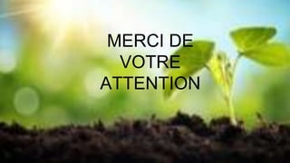 MERCI DE
VOTRE
ATTENTION
 