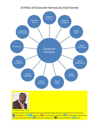13 Pillars of Corporate Harmony by Elijah Ezendu

 