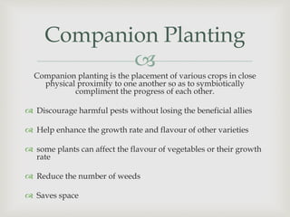 
Companion Planting
Companion planting is the placement of various crops in close
physical proximity to one another so as to symbiotically
compliment the progress of each other.
 Discourage harmful pests without losing the beneficial allies
 Help enhance the growth rate and flavour of other varieties
 some plants can affect the flavour of vegetables or their growth
rate
 Reduce the number of weeds
 Saves space
 