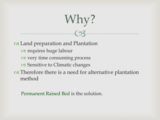 
 Land preparation and Plantation
 requires huge labour
 very time consuming process
 Sensitive to Climatic changes
 Therefore there is a need for alternative plantation
method
Permanent Raised Bed is the solution.
Why?
 