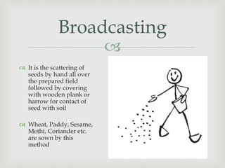 
Broadcasting
 It is the scattering of
seeds by hand all over
the prepared field
followed by covering
with wooden plank or
harrow for contact of
seed with soil
 Wheat, Paddy, Sesame,
Methi, Coriander etc.
are sown by this
method
 