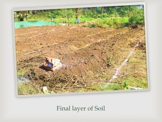 Final layer of Soil
 