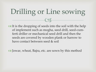 
Drilling or Line sowing
 It is the dropping of seeds into the soil with the help
of implement such as mogha, seed drill, seed-cum-
ferti driller or mechanical seed drill and then the
seeds are covered by wooden plank or harrow to
have contact between seed & soil
 Jowar, wheat, Bajra, etc. are sown by this method
 