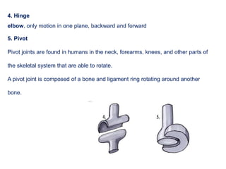 4. Hinge
elbow, only motion in one plane, backward and forward
5. Pivot
Pivot joints are found in humans in the neck, forearms, knees, and other parts of
the skeletal system that are able to rotate.
A pivot joint is composed of a bone and ligament ring rotating around another
bone.
 