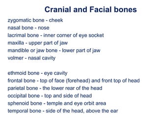 zygomatic bone - cheek
nasal bone - nose
lacrimal bone - inner corner of eye socket
maxilla - upper part of jaw
mandible or jaw bone - lower part of jaw
volmer - nasal cavity
ethmoid bone - eye cavity
frontal bone - top of face (forehead) and front top of head
parietal bone - the lower rear of the head
occipital bone - top and side of head
sphenoid bone - temple and eye orbit area
temporal bone - side of the head, above the ear
Cranial and Facial bones
 