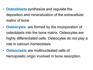 • Osteoblasts synthesize and regulate the
deposition and mineralization of the extracellular
matrix of bone
• Osteocytes are formed by the incorporation of
osteoblasts into the bone matrix. Osteocytes are
highly differentiated cells. Osteocytes do not play a
role in calcium homeostasis
• Osteoclasts are multinucleated cells of
hemopoietic origin involved in bone resorption.
 