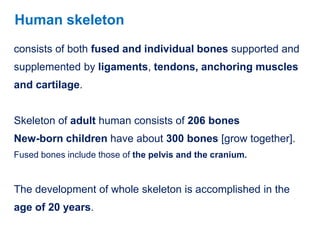 consists of both fused and individual bones supported and
supplemented by ligaments, tendons, anchoring muscles
and cartilage.
Skeleton of adult human consists of 206 bones
New-born children have about 300 bones [grow together].
Fused bones include those of the pelvis and the cranium.
The development of whole skeleton is accomplished in the
age of 20 years.
Human skeleton
 