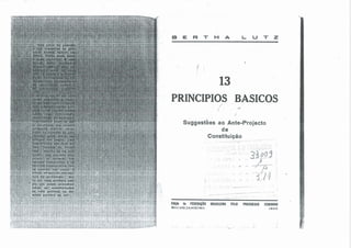 13 Princípios Básicos para a Constituição do Brasil