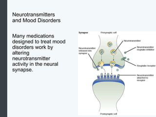 Neurotransmitters
and Mood Disorders
Many medications
designed to treat mood
disorders work by
altering
neurotransmitter
activity in the neural
synapse.
 