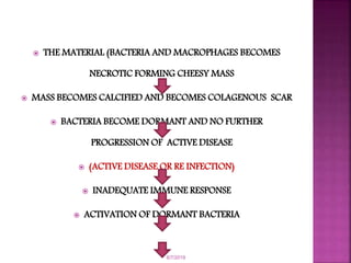  THE MATERIAL (BACTERIA AND MACROPHAGES BECOMES
NECROTIC FORMING CHEESY MASS
 MASS BECOMES CALCIFIED AND BECOMES COLAGENOUS SCAR
 BACTERIA BECOME DORMANT AND NO FURTHER
PROGRESSION OF ACTIVE DISEASE
 (ACTIVE DISEASE OR RE INFECTION)
 INADEQUATE IMMUNE RESPONSE
 ACTIVATION OF DORMANT BACTERIA
6/7/2019
 