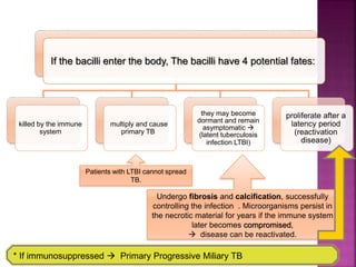If the bacilli enter the body, The bacilli have 4 potential fates:
killed by the immune
system
multiply and cause
primary TB
they may become
dormant and remain
asymptomatic 
(latent tuberculosis
infection LTBI)
proliferate after a
latency period
(reactivation
disease)
Patients with LTBI cannot spread
TB.
Undergo fibrosis and calcification, successfully
controlling the infection . Microorganisms persist in
the necrotic material for years if the immune system
later becomes compromised,
 disease can be reactivated.
* If immunosuppressed  Primary Progressive Miliary TB
 