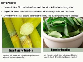 DIET SPECIFIC:
• Increaseintakeof foodsrich in calcium and other mineralslikeiron and magneium
• Vegetablesshould be taken in raw or steamed form,avoid spicy and junk fried foods
• Gooseberry rich in vit c isand papayaleaves useful in alleviating symptomsof jaundice
Squeeze half a lime into a glass of sugarcane juice
and drink twice or thrice daily.
Mix the neem juice(1tbsp) with sugar (2tbsp) in
water (1glass). Drink this liquid every morning)
 
