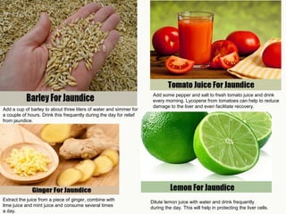 Add a cup of barley to about three liters of water and simmer for
a couple of hours. Drink this frequently during the day for relief
from jaundice.
Add some pepper and salt to fresh tomato juice and drink
every morning. Lycopene from tomatoes can help to reduce
damage to the liver and even facilitate recovery.
Extract the juice from a piece of ginger, combine with
lime juice and mint juice and consume several times
a day.
Dilute lemon juice with water and drink frequently
during the day. This will help in protecting the liver cells.
 