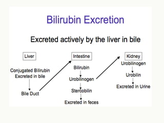 CASE PRESENTATION ON  obstructive jaundice 