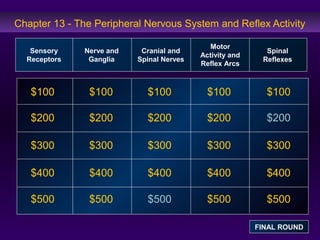 Chapter 13 - The Peripheral Nervous System and Reflex Activity 
$100 
$200 
$300 
$400 
$500 
$100 $100 $100 $100 
$200 $200 $200 $200 
$300 $300 $300 $300 
$400 $400 $400 $400 
$500 $500 $500 $500 
Sensory 
Receptors 
Nerve and 
Ganglia 
Cranial and 
Spinal Nerves 
Motor 
Activity and 
Reflex Arcs 
Spinal 
Reflexes 
FINAL ROUND 
 