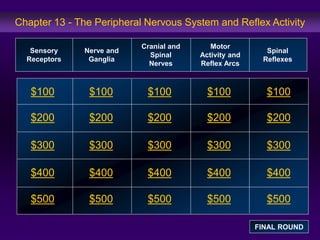 Chapter 13 - The Peripheral Nervous System and Reflex Activity 
$100 
$200 
$300 
$400 
$500 
$100 $100 $100 $100 
$200 $200 $200 $200 
$300 $300 $300 $300 
$400 $400 $400 $400 
$500 $500 $500 $500 
Sensory 
Receptors 
Nerve and 
Ganglia 
Cranial and 
Spinal 
Nerves 
Motor 
Activity and 
Reflex Arcs 
Spinal 
Reflexes 
FINAL ROUND 
 