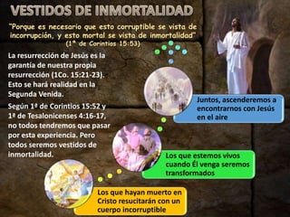 Los que hayan muerto en
Cristo resucitarán con un
cuerpo incorruptible
Los que estemos vivos
cuando Él venga seremos
transformados
Juntos, ascenderemos a
encontrarnos con Jesús
en el aire
“Porque es necesario que esto corruptible se vista de
incorrupción, y esto mortal se vista de inmortalidad”
(1ª de Corintios 15:53)
La resurrección de Jesús es la
garantía de nuestra propia
resurrección (1Co. 15:21-23).
Esto se hará realidad en la
Segunda Venida.
Según 1ª de Corintios 15:52 y
1ª de Tesalonicenses 4:16-17,
no todos tendremos que pasar
por esta experiencia. Pero
todos seremos vestidos de
inmortalidad.
 