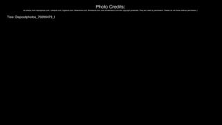 Photo Credits:
All photos from istockphoto.com, crestock.com, bigstock.com, dreamtime.com, thinkstock.com, and shutterstock.com are copyright protected. They are used by permission. Please do not reuse without permission.)
Tree: Depositphotos_70209473_l
 