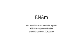 RNAm
Dra. Martha Leticia Zamudio Aguilar
Facultas de ;edicina Xalapa
UNIVERSIDAD VERACRUZANA
 
