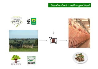 Desafio: Qual o melhor genótipo?




 ?
 