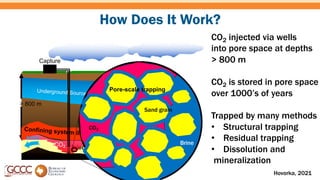 Dissolution Trapping Katherine Romanak - Geologic CO2 Storage.pdf