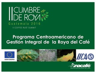 Programa Centroamericano de
Gestión Integral de la Roya del Café
 