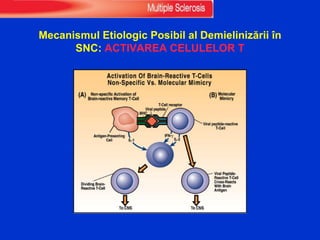 Mecanismul Etiologic Posibil al Demielinizării în
SNC: ACTIVAREA CELULELOR T
 