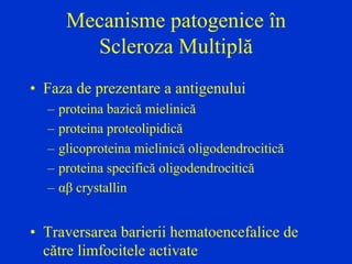 Mecanisme patogenice în
Scleroza Multiplă
• Faza de prezentare a antigenului
– proteina bazică mielinică
– proteina proteolipidică
– glicoproteina mielinică oligodendrocitică
– proteina specifică oligodendrocitică
– αβ crystallin
• Traversarea barierii hematoencefalice de
către limfocitele activate
 