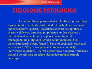 FIZIOLOGIE PATOLOGICA
Are loc infiltrația perivenulară cu limfocite și macrofagi
a parechimului cerebral emisferial, din trunchiul cerebral, nervii
optici și măduva spinării. Capacitatea aderării de suprafață a
acestor celule este bazată pe proprietatea lor de străbatere a
barierii hemato-encefalice. Creșterea consentrației de
imunoglobuline G (IgG) în lichidul cefalo-rahidian(LCR),
demonsttrată prin electroforeză în benzi oligoclonale, sugerează
activizarea în SM și a componentei umorale a imunității
(activizarea celulelor B). A fost demonstrată o creștere variabilă a
gradului de infiltrare cu celule plasmatice producătoare de
anticorpi.
 