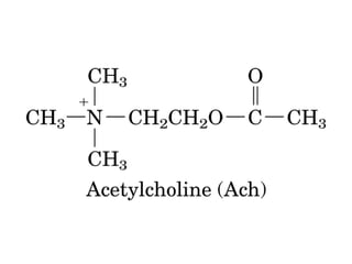 13 señales biológicas