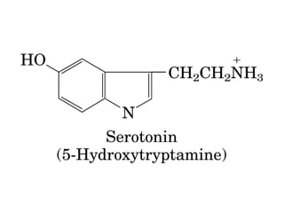 13 señales biológicas
