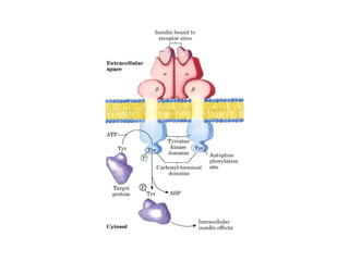 13 señales biológicas