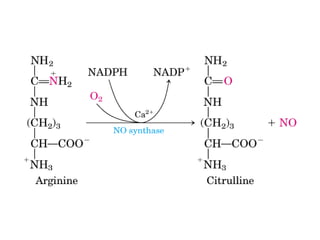 13 señales biológicas