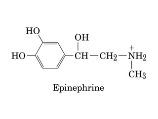 13 señales biológicas