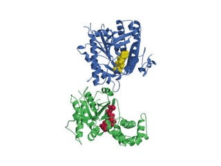 13 señales biológicas