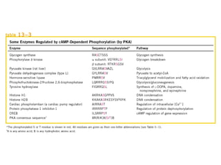 13 señales biológicas