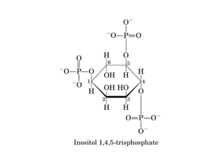 13 señales biológicas
