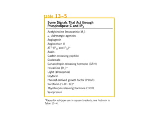 13 señales biológicas