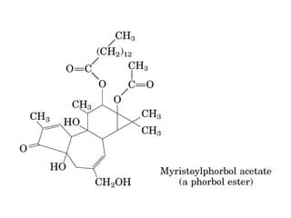 13 señales biológicas