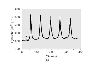 13 señales biológicas