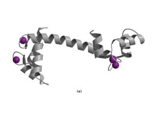 13 señales biológicas