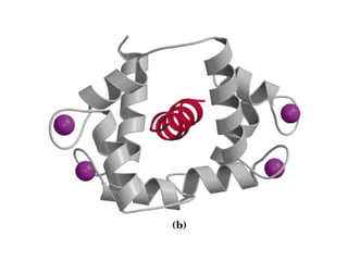 13 señales biológicas