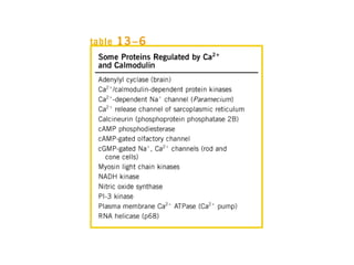 13 señales biológicas