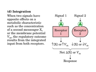 13 señales biológicas