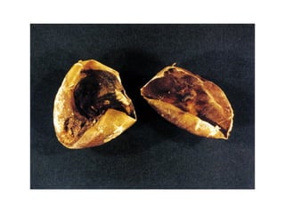 13 señales biológicas